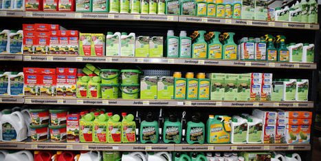 Pesticides : l’Agence européenne des produits chimiques blanchit le glyphosate | Le Fil @gricole | Scoop.it