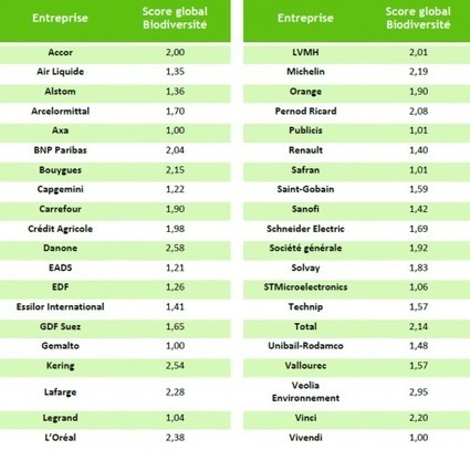 L'évaluation des stratégies biodiversité des entreprises du CAC40 | Biodiversité | Scoop.it