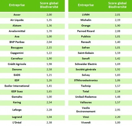 L'évaluation des stratégies biodiversité des entreprises du CAC40 | Biodiversité | Scoop.it