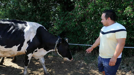 « Il faut faire éclater la vérité » : du soja cancérogène s’est retrouvé dans du lait de vache | Toxique, soyons vigilant ! | Scoop.it