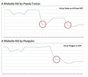 Google's Panda and Penguin: Everything You Need To Know To Defend Your Site | Google Penalty World | Scoop.it