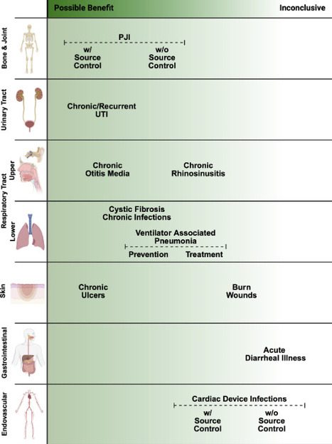 Approaching the post-antibiotic era: phage therapy current practices and future horizons | mBio | RMH | Scoop.it