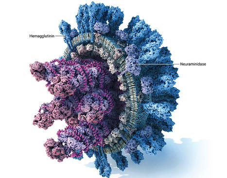 A Single Shot of a Flu Drug Could Outperform Vaccines—and Protect for an Entire Season – | Virus World | Scoop.it