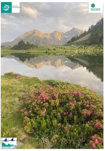Conf&eacute;rence sur les milieux aquatiques de la R&eacute;serve nationale naturelle du N&eacute;ouvielle le 4 ao&ucirc;t &agrave; Saint-Lary Soulan | Vall&eacute;es d'Aure & Louron - Pyr&eacute;n&eacute;es | Scoop.it