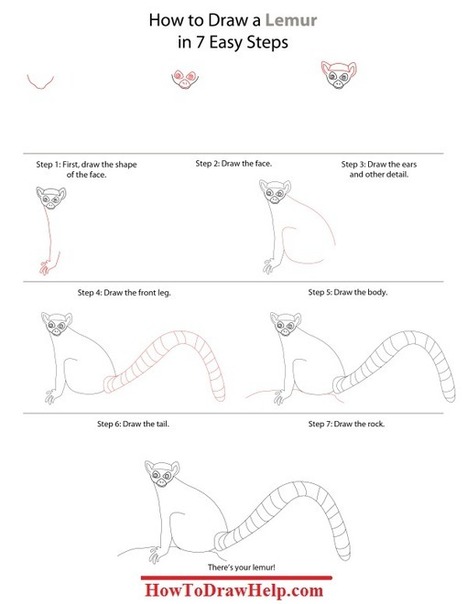 How To Draw A Lemur Step by Step Tutotrial | Drawing and Painting Tutorials | Scoop.it