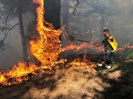 Wildfires Rage Across ALBANIA with Temperatures Set to Rise | CIHEAM Press Review | Scoop.it