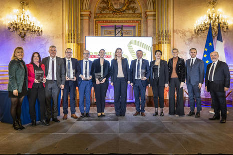 Numérique.gouv.fr | La DINUM a reçu le prix « innovation » des Victoires des Acteurs publics pour le lancement d'Albert | France services | L'actualité | Scoop.it