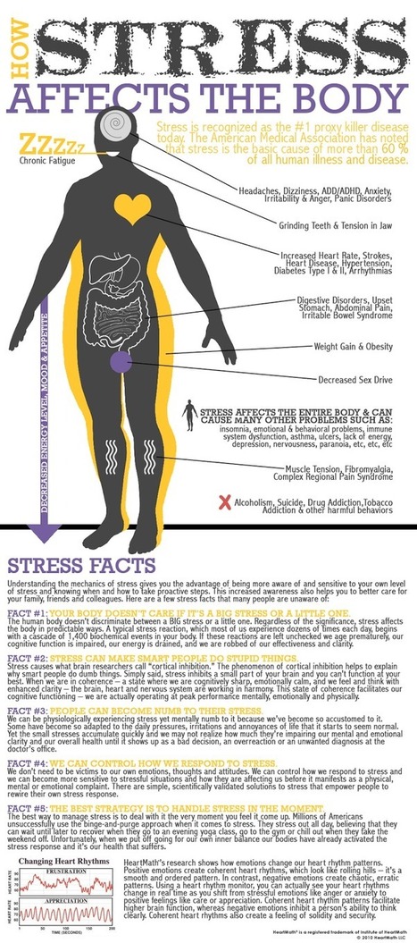 All Out Effort Personal Training And Coaching: Ways Stress Affects Your Body And Your Health | Stress Management | Scoop.it