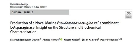 Production of a Novel Marine Pseudomonas aeruginosa Recombinant L‑Asparaginase | iBB | Scoop.it