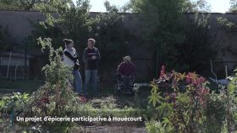 Bouge ton coq | Vosges T&eacute;l&eacute;vision | La SELECTION du Web | CAUE des Vosges - www.caue88.com | Scoop.it