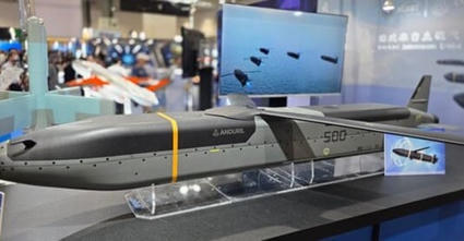 PGZ says technical specifications of Polish-produced Barracuda-500M ‘yet to be determined' | DEFENSE NEWS | Scoop.it