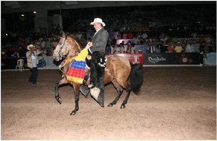 La caballada le cumplió a Neiva | Caballo, Caballos | Scoop.it
