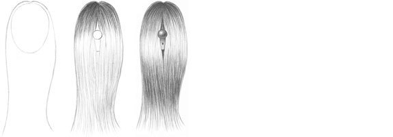 Long Straight Hair Drawing Tutorial | Drawing a...
