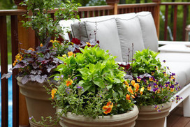 13 Quick-Change Boosts for a Spring Patio | A Clean, Green Home | Scoop.it