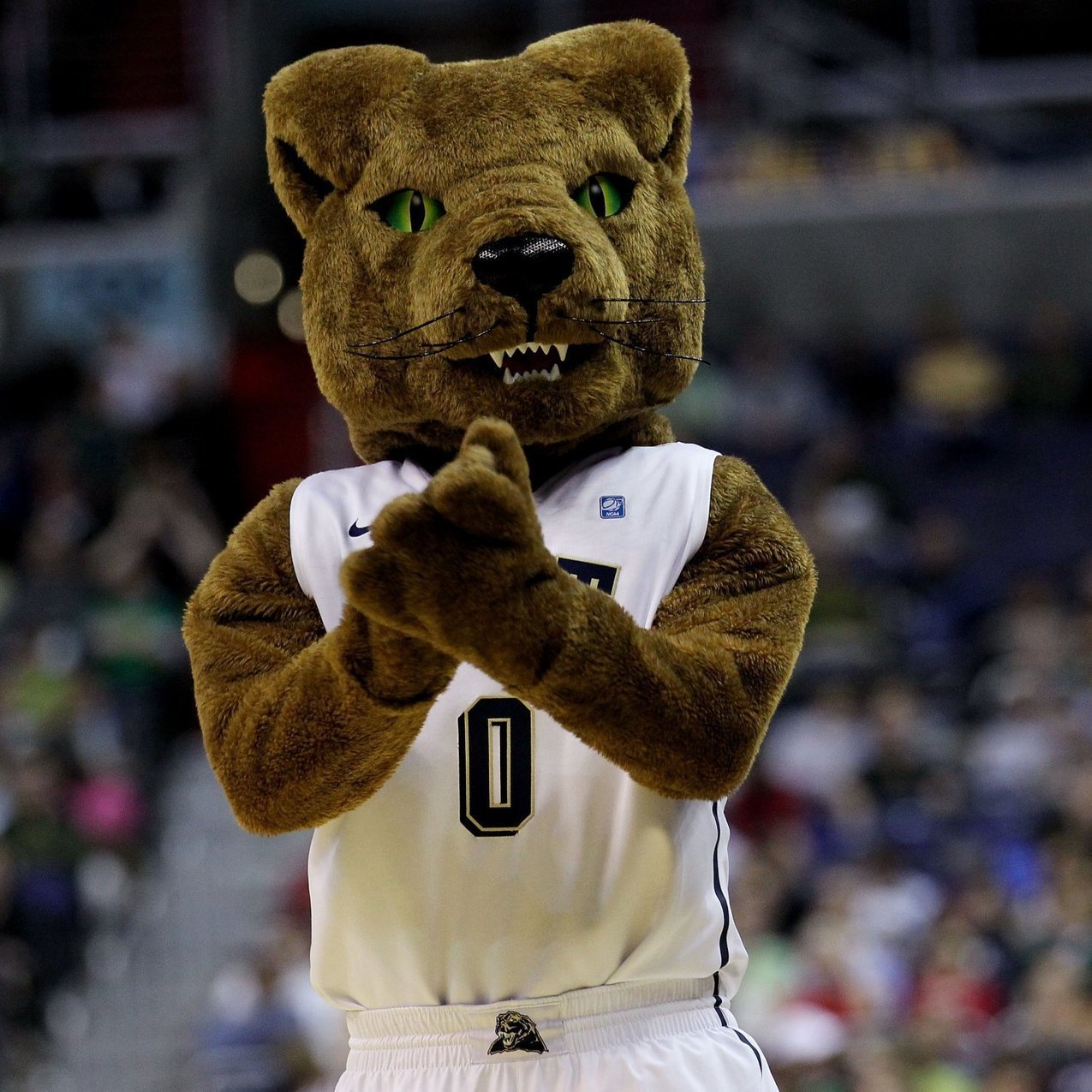 Best Mascots In CBB Mascot News Scoop it