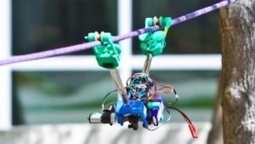 Skysweeper: 3D-gedruckter Roboter soll Stromleitungen inspizieren | 21st Century Innovative Technologies and Developments as also discoveries, curiosity ( insolite)... | Scoop.it