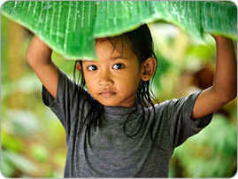 Réchauffement climatique : les enfants très exposés aux maladies | EntomoNews | Scoop.it