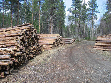 Savotta &ndash; Wikipedia | 1Uutiset - Lukemisen t&auml;hden | Scoop.it