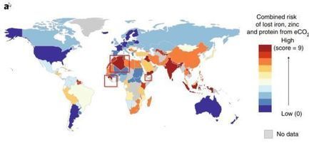 Nutrition: pourquoi les Africains «doivent être attentifs» à la hausse du CO2