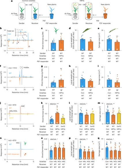Herbivory-induced green leaf volatiles increase plant performance through jasmonate-dependent plant–soil feedbacks | Npt | RMH | Scoop.it