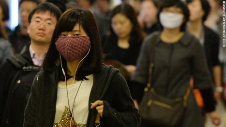 China bird flu case count rises to 83 | News from the world - nouvelles du monde | Scoop.it