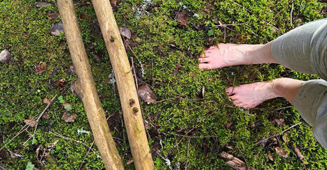 Seisoin avojaloin keskitalven metsässä ja oivalsin tämän ihokosketuksesta luontoon – | 1Uutiset - Lukemisen tähden | Scoop.it