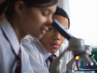 Why Curiosity Enhances Learning | Teaching: Best practice ideas | Scoop.it