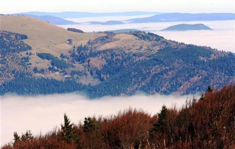 Nouvelle charte : trop ou pas assez nature ? - L'Alsace | Alsace Actu | Scoop.it