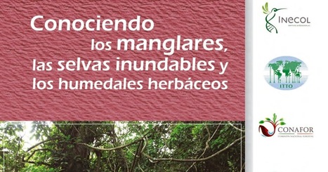 INGENIERIA FORESTAL: Documento "Conociendo los manglares, las selvas inundables y los humedales herbáceos" | Educación, TIC y ecología | Scoop.it