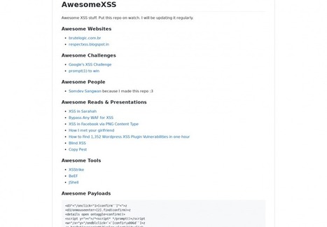 Awesome XSS : Une liste de ressources et articles pour bien comprendre la problématique des failles XSS | Bonnes Pratiques Web & Cloud | Scoop.it