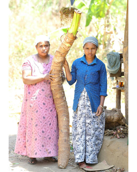 The indigenous women saving India's endangered giant yams | The Asian Food Gazette. | Scoop.it