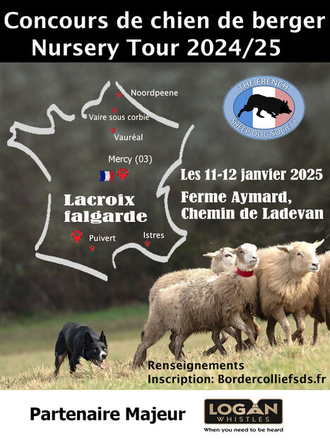 Concours de chien de berger | Lacroix-Falgarde | Scoop.it
