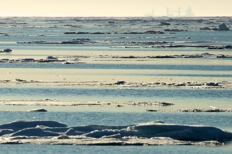 Le GIEC place l’Océan au cœur de ses préoccupations et lui consacre un Rapport Spécial  | Biodiversité | Scoop.it