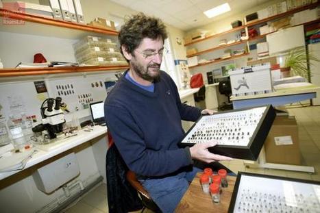 L'agro&eacute;cologie : vers la fin de l'agriculture intensive ? | EntomoScience | Scoop.it