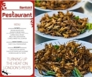 Des insectes dans mon assiette (épisode 2) : une dégustation gratuite d’insectes offerte aux britanniques | Economie Responsable et Consommation Collaborative | Scoop.it