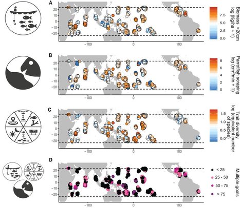 [article] Meeting fisheries, ecosystem function, and biodiversity goals in a human-dominated world | Science | HALIEUTIQUE MER ET LITTORAL | Scoop.it