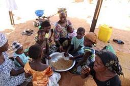 Des prévisions inquiétantes pour ceux qui ont faim au Sénégal | Questions de développement ... | Scoop.it