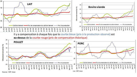 Hausse des coûts de l’aliment : le porc toujours dans le rouge en mars, pas les bovins | Actualité Bétail | Scoop.it