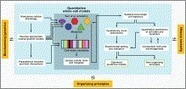 The Dawn of Virtual Cell Biology: Cell | Genetic Engineering in the Press by GEG | Scoop.it