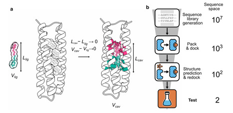 Rapid assessment of chemical complementarity of ligands for protein design | ncm | RMH | Scoop.it