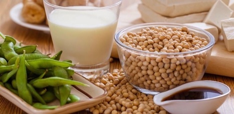 SOY IS TOXIC. SOY IS NOT A HEALTHFUL FOOD. | Health Supreme | Scoop.it