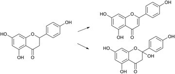 Expanding the roles for 2-oxoglutarate-dependent oxygenases in plant metabolism - Natural Product Reports | RMH | Scoop.it