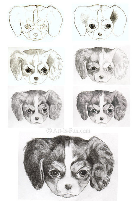 Dog Drawing Tutorial - How to draw a Dog step by step