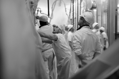 Bazas ne veut pas d'un deuxième abattoir en Gironde | La Gazette des abattoirs | Scoop.it