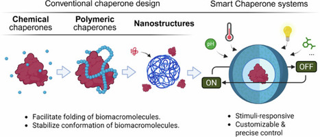 Artificial chaperones: from conventional designs to smart systems | NPG | RMH | Scoop.it