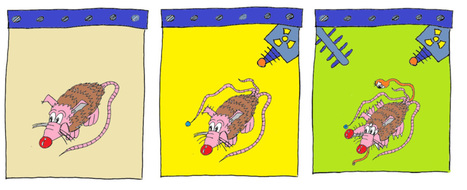 Mitos zombi y ratas en el microondas | Ciencia-Física | Scoop.it
