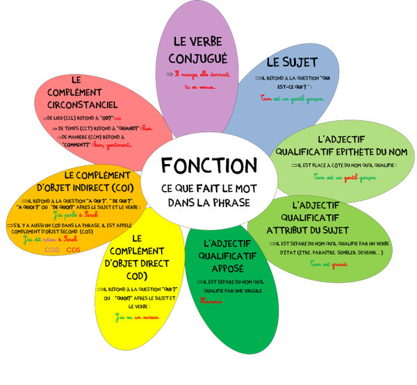 FONCTION DU MOT DANS LA PHRASE PASSION FLE
