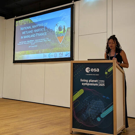 Zones humides, satellite et conservation : les avancées de la cartographie des habitats des ZH en France partagées au Living Planet Symposium 2025 - Tour du Valat | Biodiversité | Scoop.it