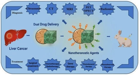 Review of the Application of Dual Drug Delivery Nanotheranostic Agents in the Diagnosis and Treatment of Liver Cancer | Local delivery for Gene Directed Enzyme Prodrug Therapy | Scoop.it