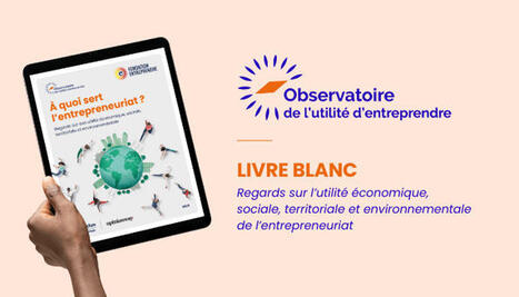A quoi sert l'entrepreneuriat ? | Innovation Agro-activit&eacute;s et Bio-industries | Scoop.it